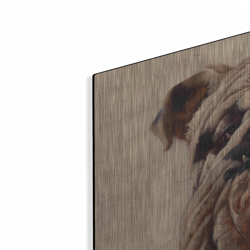 «Bulldog» par Thomas Fluharty, H 24 po x l 36 po