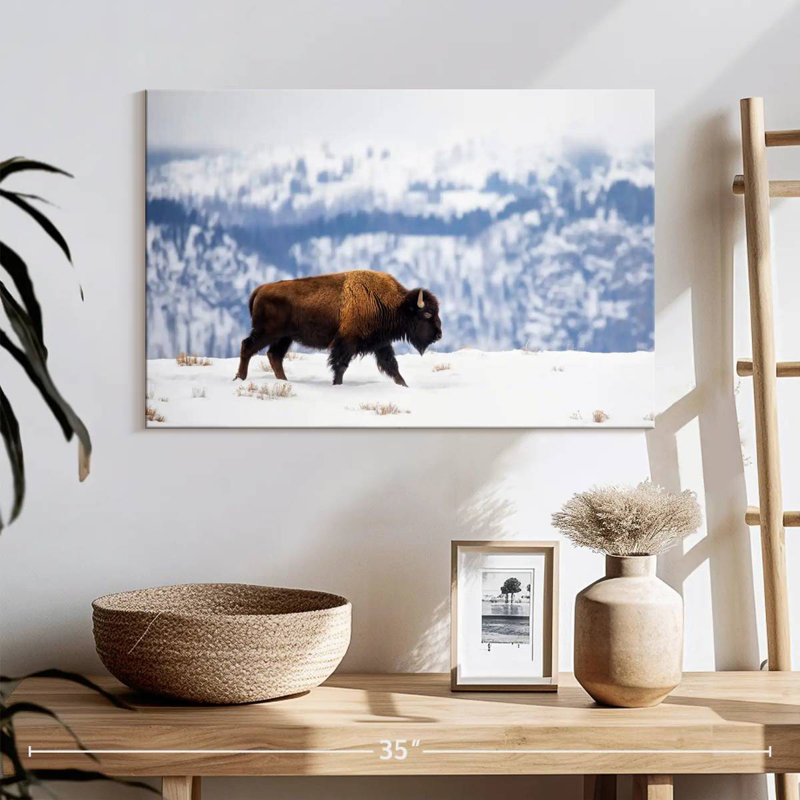 Brampt American Bison During Winter, 16" H x 24" W