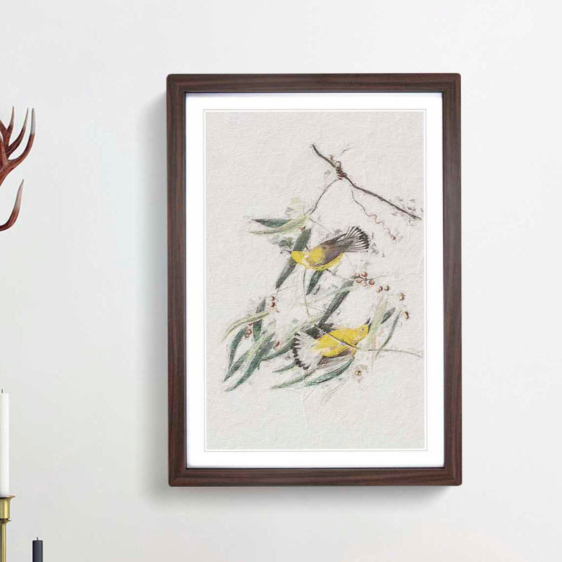 Prothonotary Warbler Birds by John Audubon - Picture Frame Painting Print, 36cm H x 27cm W x 2cm D, Walnut Framed