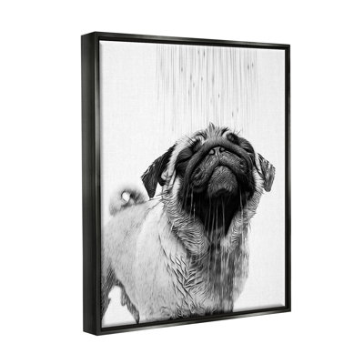 «Pug Bathroom Splash» par Annalisa Latella