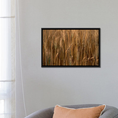 « blé cultived sauvie island oregon », reproduction d’impression sur toile