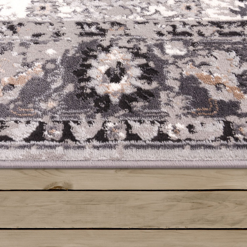 Biscoe Oriental Area Rug, Rectangle 80 x 150cm