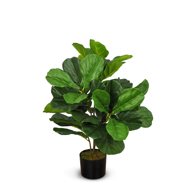 Fausse feuille de violon botanique au fini vert, H 30 po x l 28 po x P 28 po