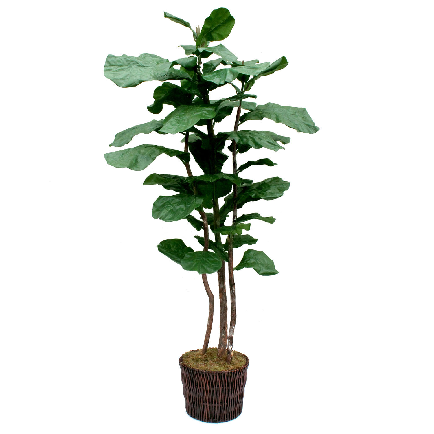 Dalmarko Designs 85'' Faux Fiddle Leaf Fig Tree in Wicker/Rattan Basket