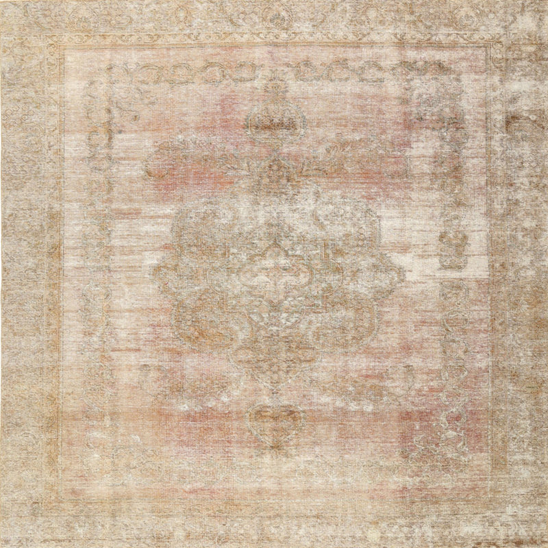 Demari Performance Oriental Indoor Rug, Square 4'