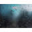 60" W X 72" H Aluminum Frame Double Sliding Shower Door With 1/4" (6Mm) Nano-Coated Clear Tempered Glass And Dual Stainless Steel Handles-115606748