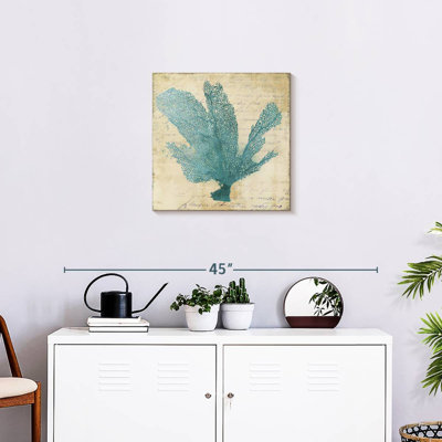 Brampt Blue Coral I