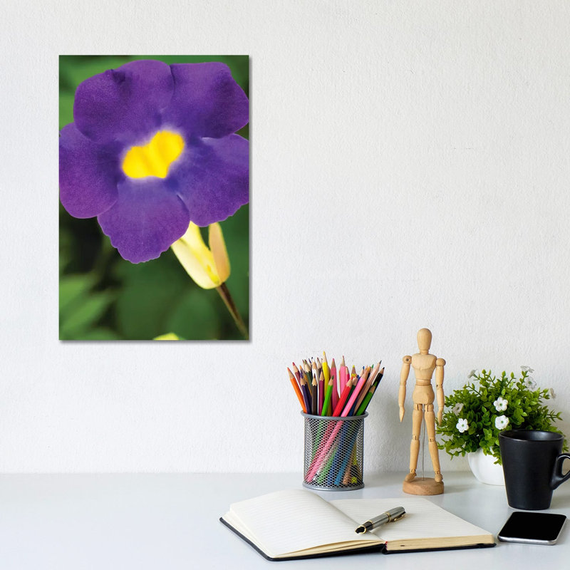 Purple And Yellow Flower - Wrapped Canvas Print, 30.48cm H x 20.32cm W x 1.905cm D