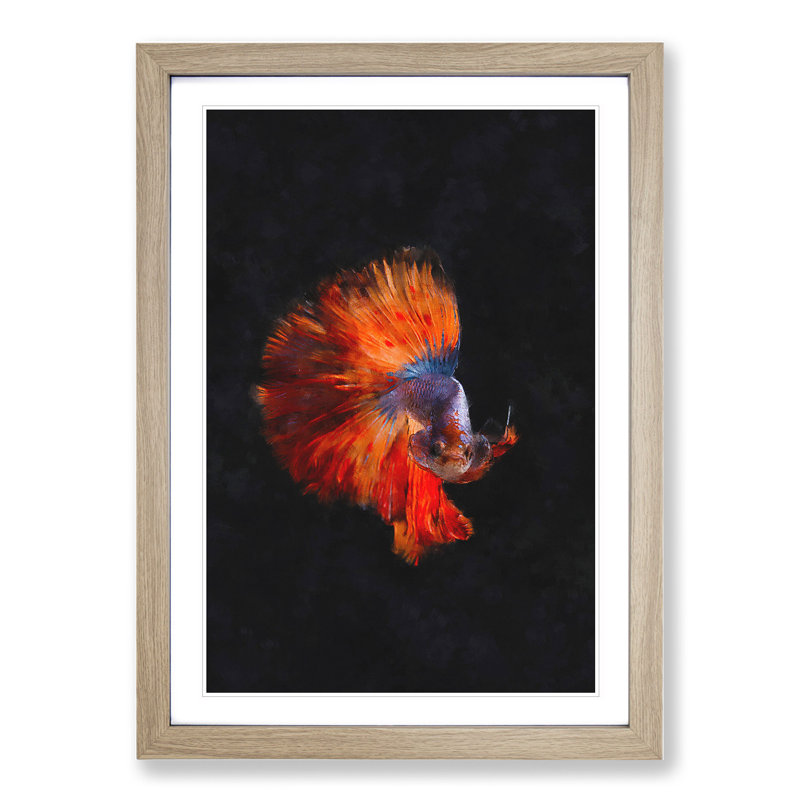 The Siamese Fighting Fish - Framed Print, 36cm H x 27cm W x 2cm D, Oak Framed
