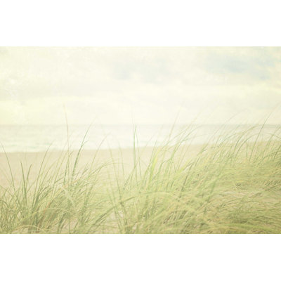 " Beach Grass II "