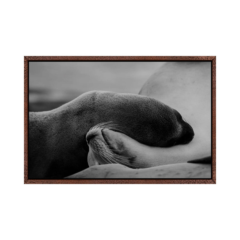 Sleeping Beauty by KrysTom - Print on Canvas, Classic Brown Wood Framed, 45.72cm H x 66.04cm W x 3.81cm D