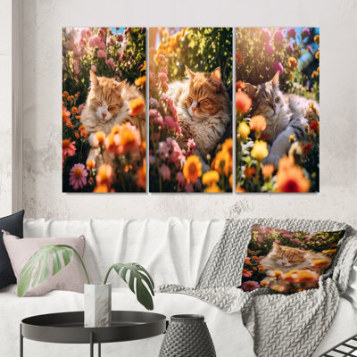 Fluffy Cat Sleeping Sunny Flower Garden I - Animals Cat Art Set Of 3 Pieces