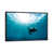 Black Floater Framed