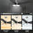 Alceo 52'' Ceiling Fan with LED Lights-78832691