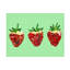 Fraises sur toile