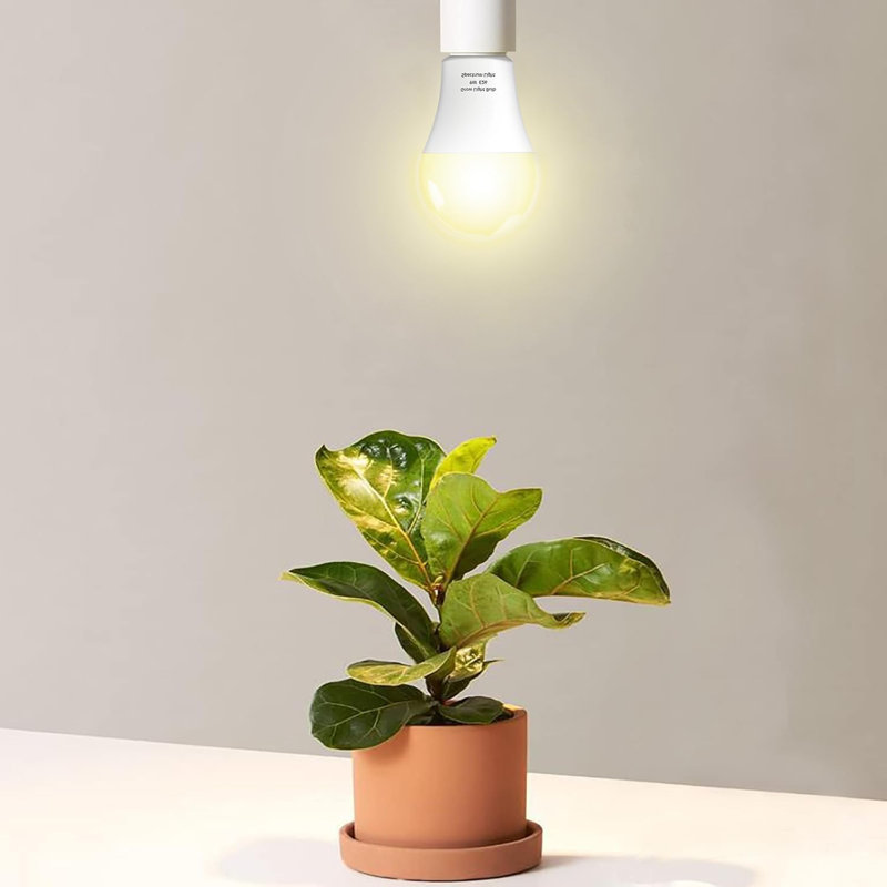 Grow Light Bulb-3, Paquet de 3