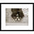 " I Am Sorry " by Jim Dratfield-23651650-24268441-24268440