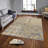 Stylish Woven Carpet (4 x 6 ft), 100% Polyester, 0.4 in Pile Height | Antibacterial, Non-Slip Underside | Machine Washable, 3D Digital Printing | Perfect for Living Room, Bedroom, and Home Decor-101269287