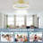 Jacia 20'' Ceiling Fan with LED Lights
