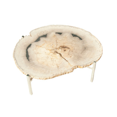 Petrified Wood Platter