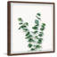 Eucalyptus Bundle - Single Picture Frame Painting-57395586