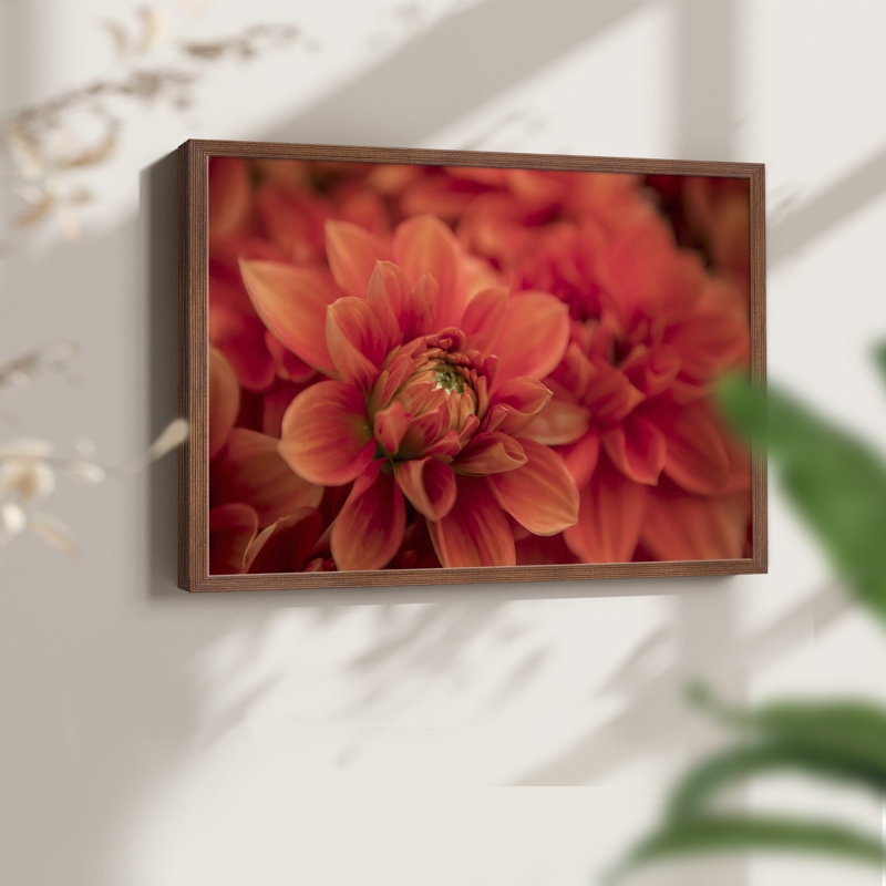 Spring Fire -Framed Print - Restickable, 22" H x 28" W, Walnut