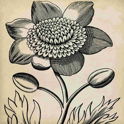 Graphique floral III