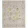 Louque Oriental Indoor Rug