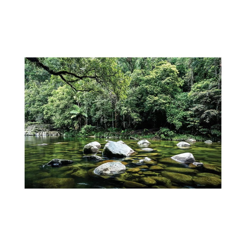 Daintree Rainforest Calm River Landscape by James Vodicka - Wrapped Canvas Gallery-Wrapped Canvas Giclée
