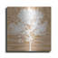  «Snowy Tree» par Erin Clark, art mural en métal, 24 po x 24 po-341984105