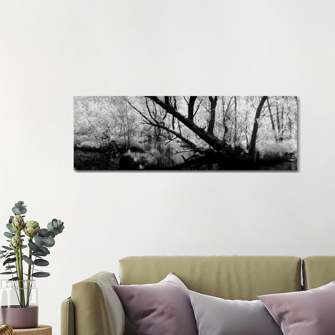 USA, Wisconsin, Stream Of Water Flowing Through A Forest - Wrapped Canvas Panoramic Print