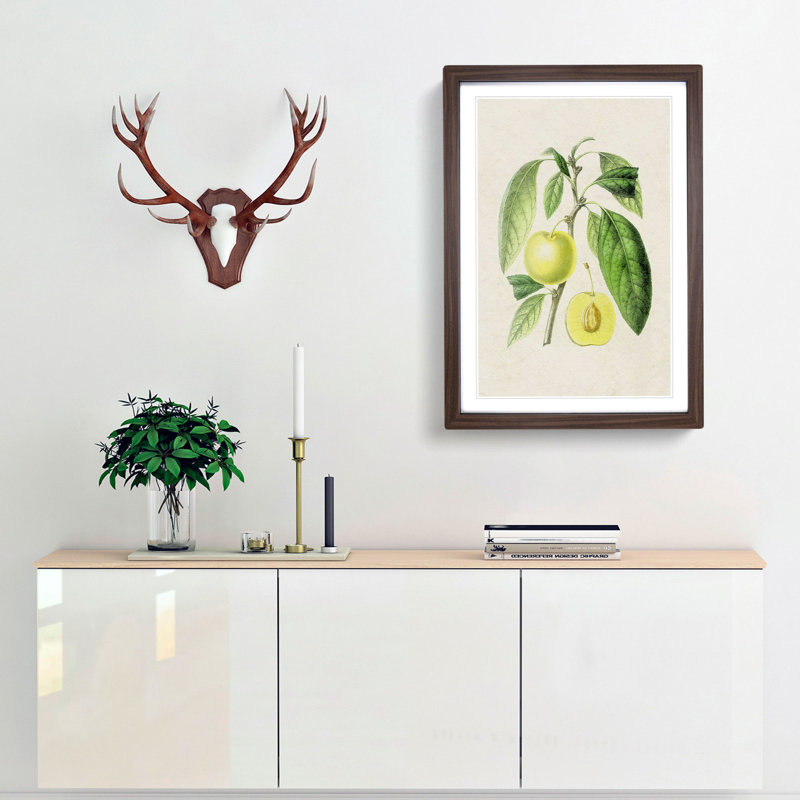 Prune Fruit Illustration - Framed Print, 36cm H x 27cm W x 2cm D, Walnut Framed