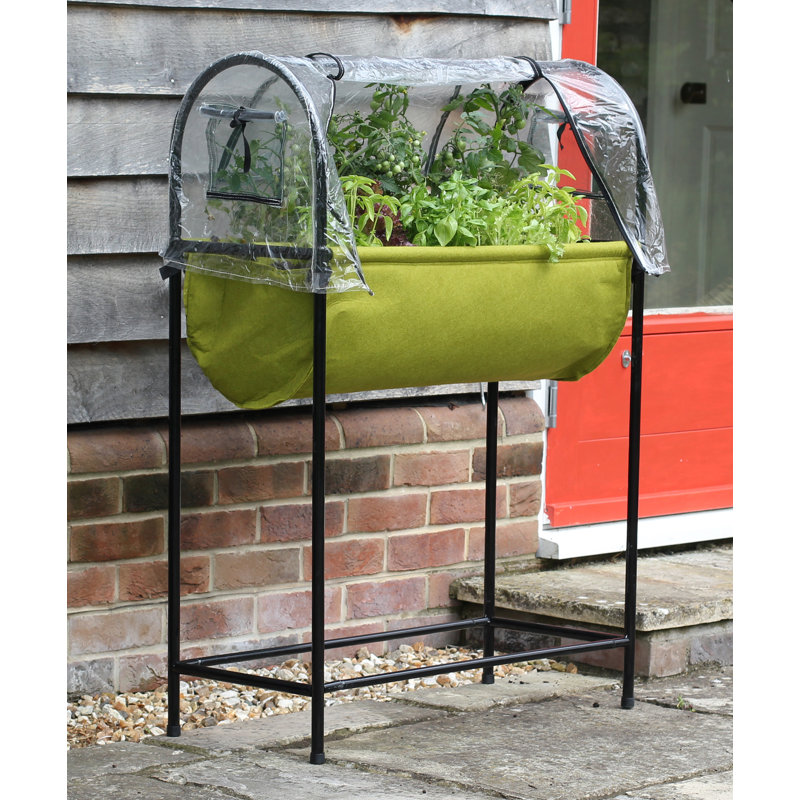 Jardin de table Haxnicks Vigoroot Easy Winnfield