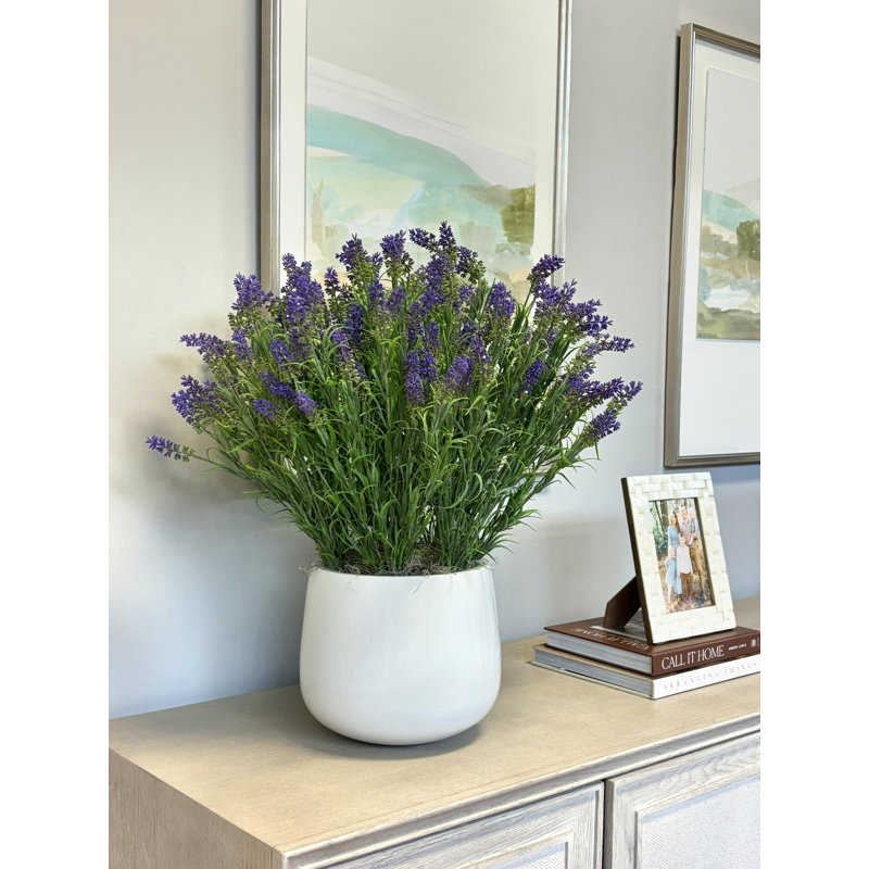 Outdoor UV-Rated Lavender in Fiberstone Pot