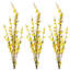 Forsythia 35 po x4