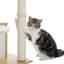 Adai 51.2" Luxury Cat Tree-1881267737
