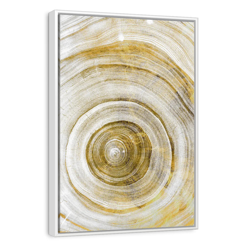 Tree Rings Molinari Geometric, Floating Frame White, 29" x 43"