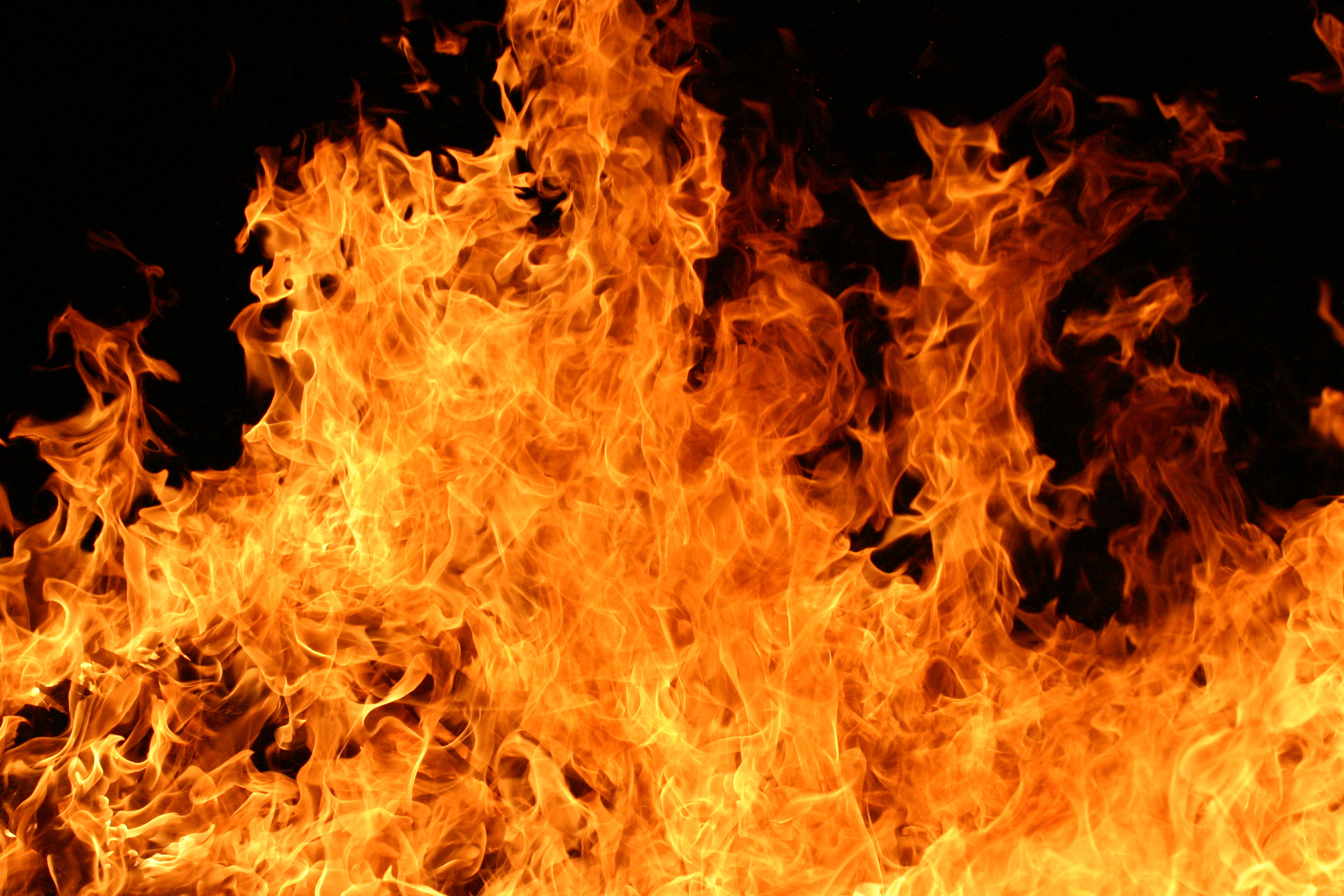 Ebern Designs Fiery Blaze by Phrazer - Wrapped Canvas Photograph | Wayfair