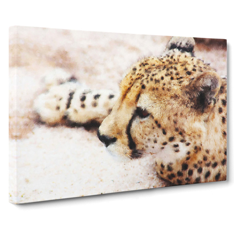 Cheetah Vol.1 - Wrapped Canvas, 50cm H x 76cm W x 3cm D