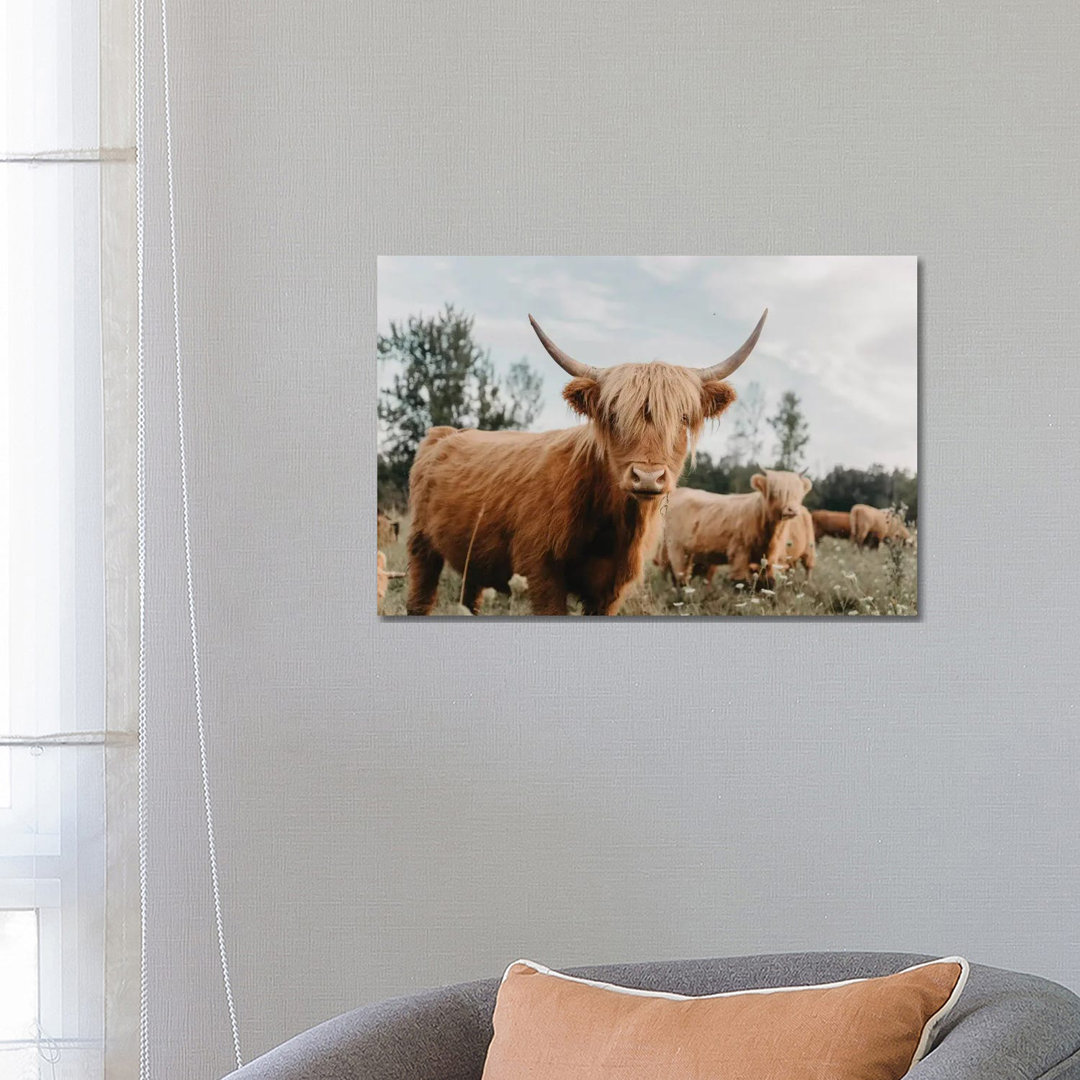 Highland Cow by Chelsea Victoria - Wrapped Canvas Gallery-Wrapped Canvas Giclée