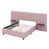 Rose est en rupture de stock