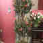 Photos des clients 2 de 3