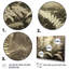 Green Fern Scenery V sur toile-1497498121-1497498130