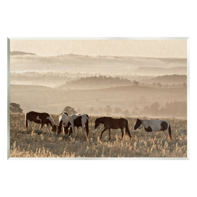 " Horses Grazing Rolling Hills " by Danita Delimont