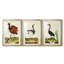 Heron Portrait IV - reproduction encadrée sur mesure de qualité supérieure mate - 3 pièces-1822660510-1822660509