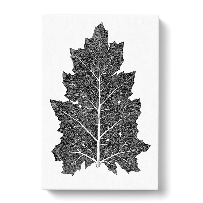 Illustration Of A Leaf by Owen Jones - Wrapped Canvas Print, 91cm H x 60cm W x 3cm D