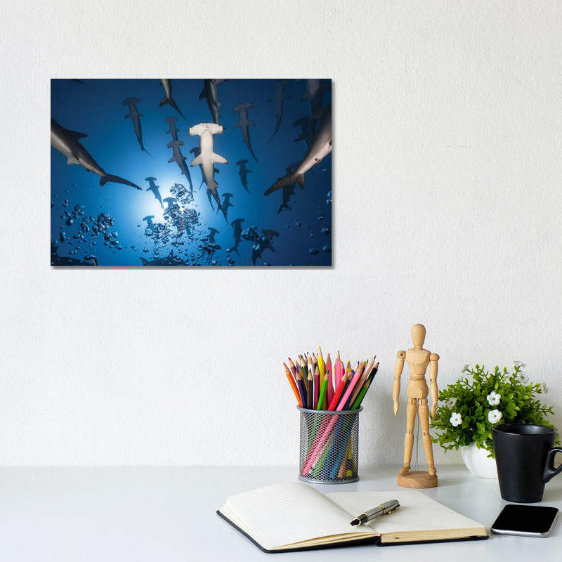 Hammerhead Shark by Barathieu Gabriel - Wrapped Canvas Print, 20.32 cm H x 30.48 cm W