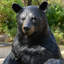 Statue d'ours noir debout