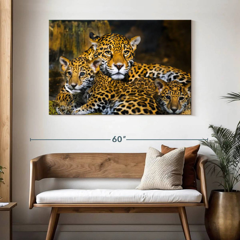 Bébé jaguar Brampt, H 32 po x l 48 po
