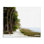 Art mural sur toile Palm Beach Path par Gail Peck